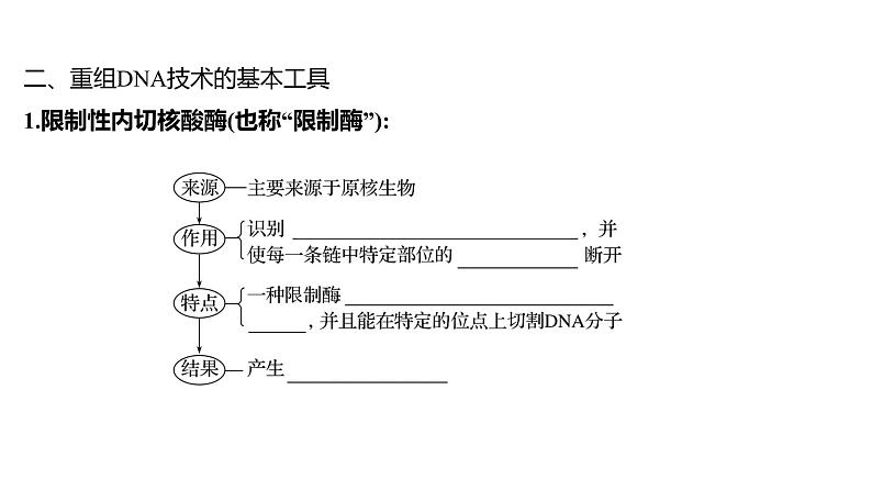 2025届高考 一轮复习 人教版 传统发酵技术的应用和发酵工程 课件(多选版) (2)第6页