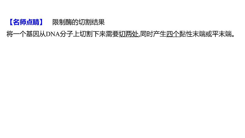 2025届高考 一轮复习 人教版 传统发酵技术的应用和发酵工程 课件(多选版) (2)第7页