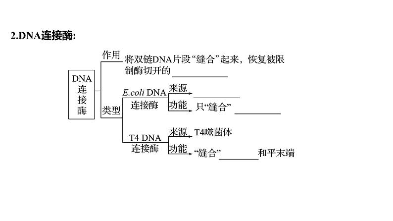 2025届高考 一轮复习 人教版 传统发酵技术的应用和发酵工程 课件(多选版) (2)第8页