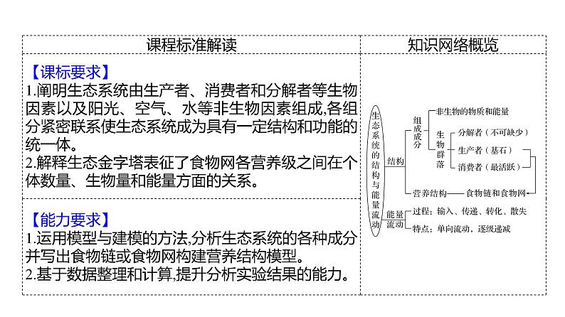 2025届高考 一轮复习 人教版 生态系统的结构与能量流动 课件(多选版)02