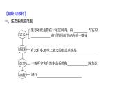 2025届高考 一轮复习 人教版 生态系统的结构与能量流动 课件(多选版)