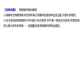 2025届高考 一轮复习 人教版 生态系统的物质循环、信息传递和稳定性 课件(多选版)