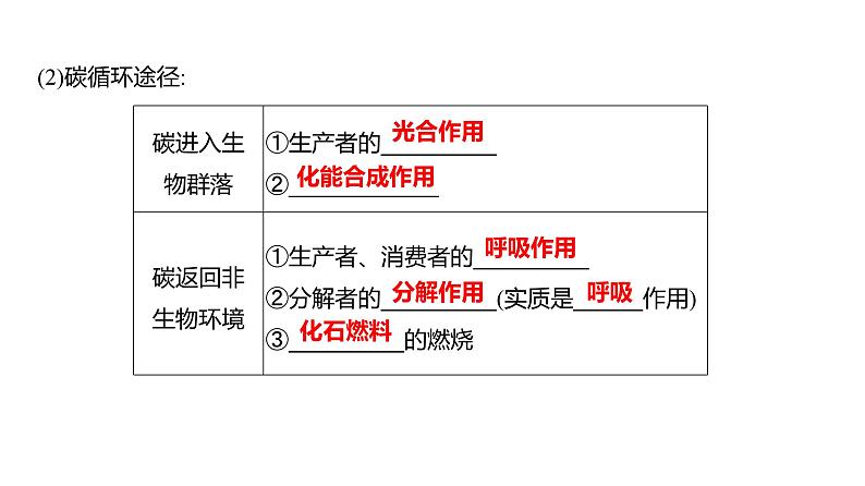 2025届高考 一轮复习 人教版 生态系统的物质循环、信息传递和稳定性 课件(多选版)07