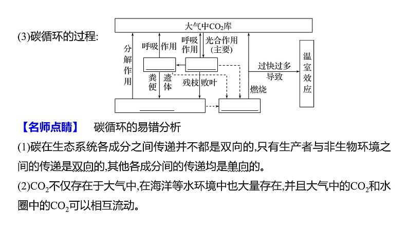 2025届高考 一轮复习 人教版 生态系统的物质循环、信息传递和稳定性 课件(多选版)08