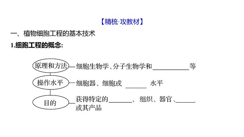 2025届高考 一轮复习 人教版 植物细胞工程 课件(多选版) (1)04