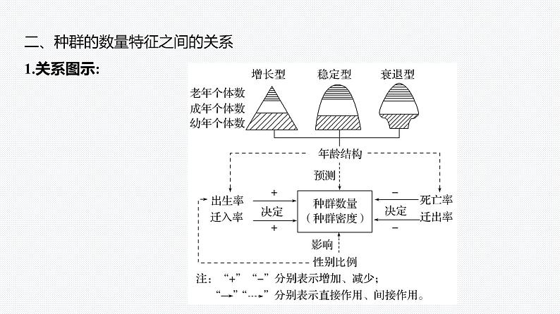 2025届高考 一轮复习 人教版 　种群的数量特征 课件(多选版)06