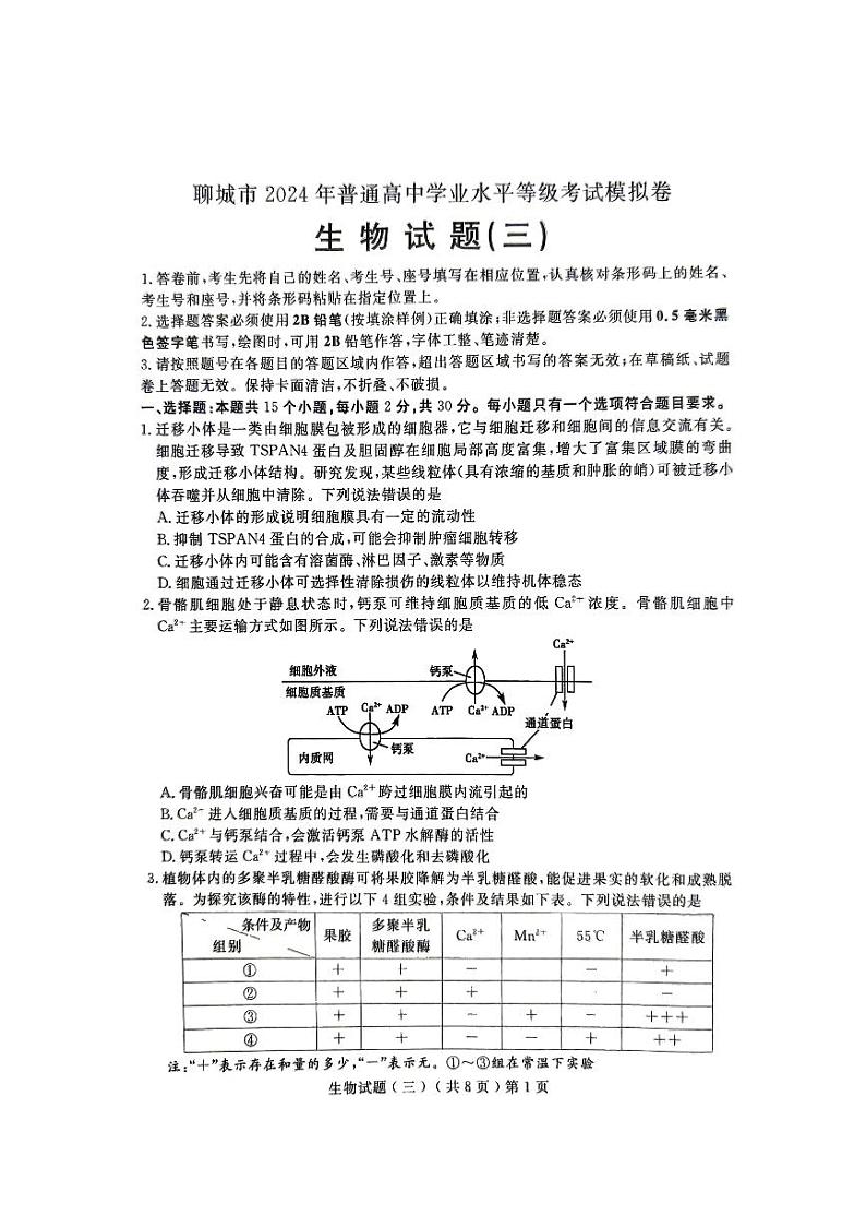2024届山东省聊城市高三三模生物试题第1页