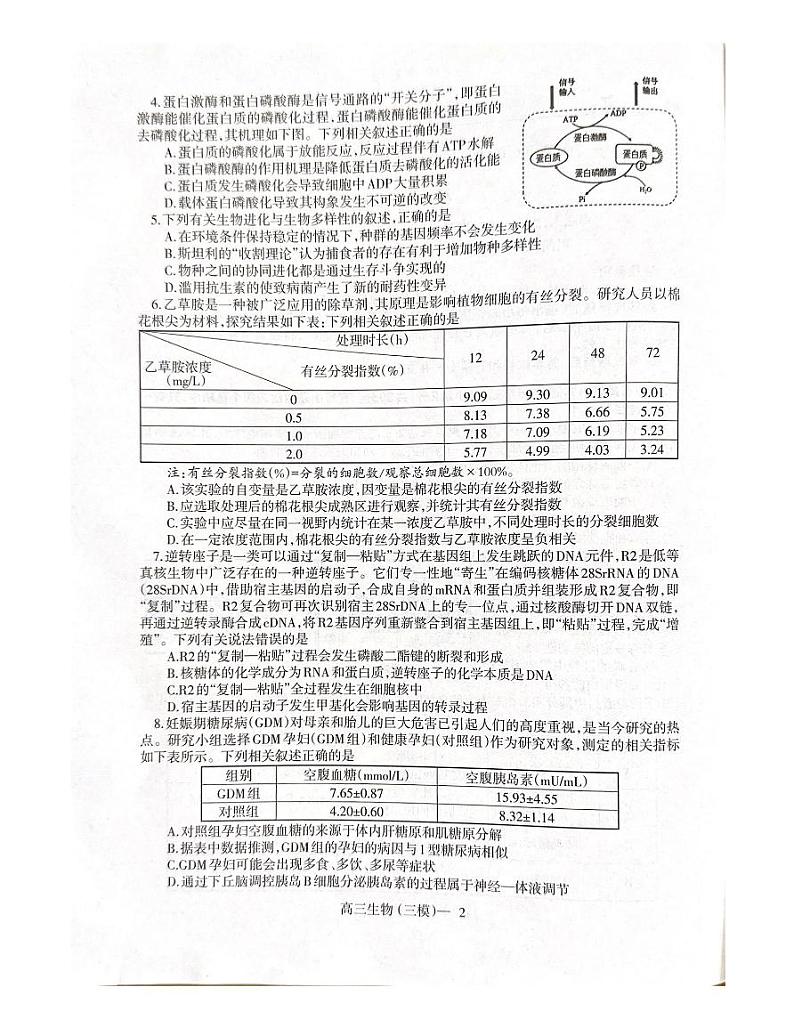 2024届辽宁省沈阳市第二中学高三三模生物试题第2页