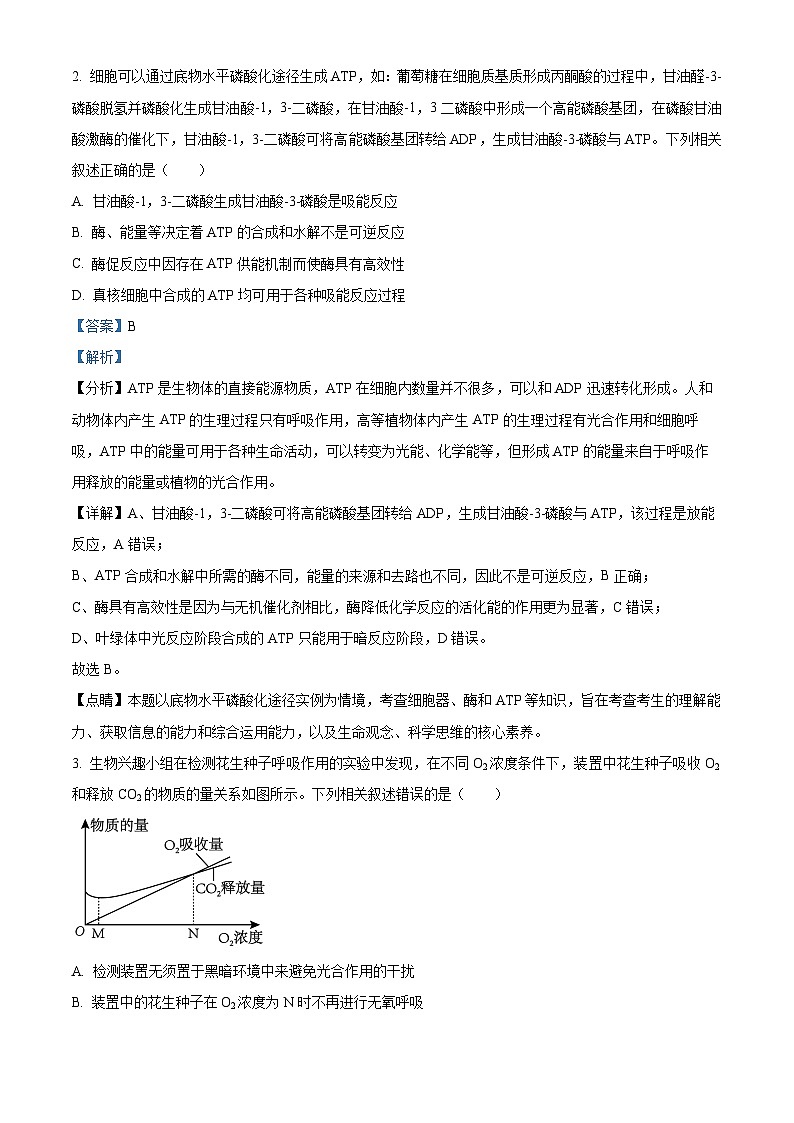 安徽省蚌埠市皖北私立联考2023-2024学年高三下学期5月期中生物试题 Word版含解析第2页