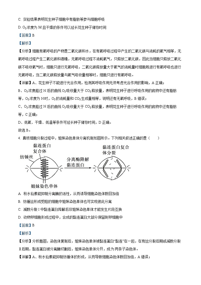 安徽省蚌埠市皖北私立联考2023-2024学年高三下学期5月期中生物试题 Word版含解析第3页