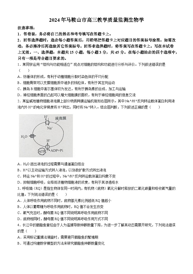 安徽省马鞍山市2024届高三下学期二模生物试卷（Word版附答案）01