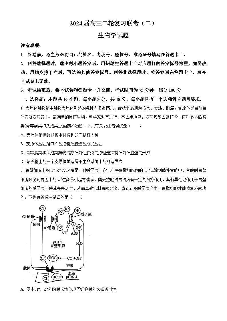 2024届甘肃省高三下学期二轮复习联考生物试卷（原卷版+解析版）01