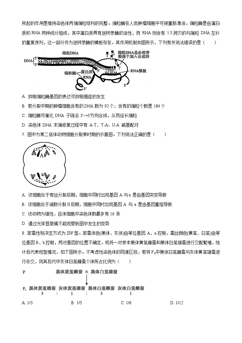 2024届甘肃省高三下学期二轮复习联考生物试卷（原卷版+解析版）03
