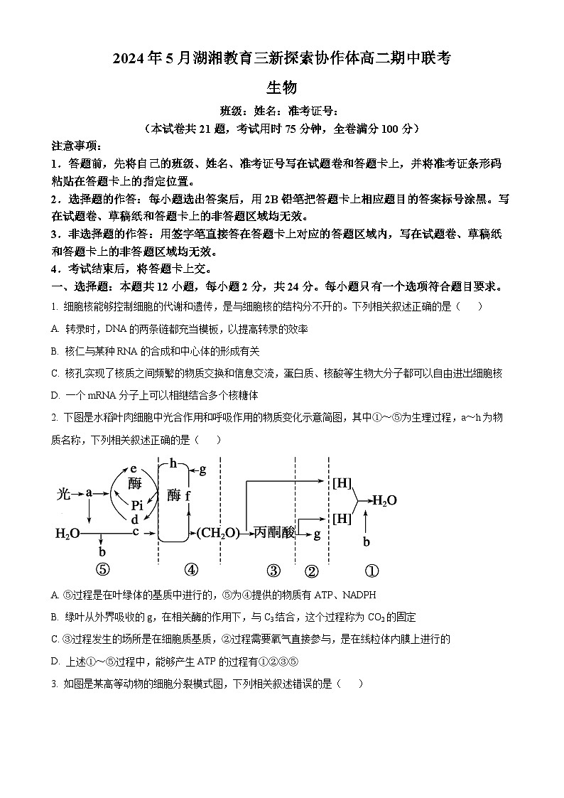 湖南省湖湘教育三新探索协作体2023-2024学年高二下学期5月期中生物试题（原卷版+解析版）01