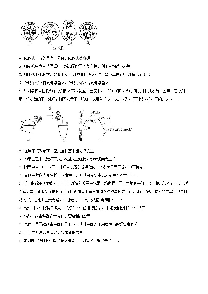 湖南省湖湘教育三新探索协作体2023-2024学年高二下学期5月期中生物试题（原卷版+解析版）02