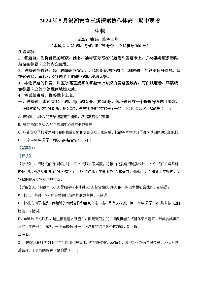 湖南省湖湘教育三新探索协作体2023-2024学年高二下学期5月期中生物试题（原卷版+解析版）01
