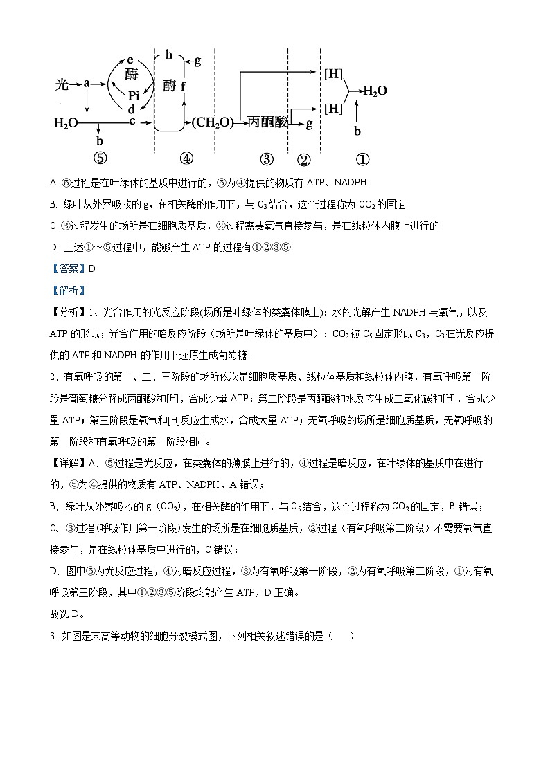 湖南省湖湘教育三新探索协作体2023-2024学年高二下学期5月期中生物试题（原卷版+解析版）02