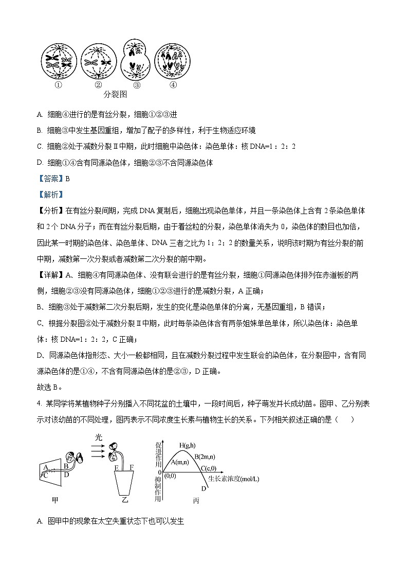 湖南省湖湘教育三新探索协作体2023-2024学年高二下学期5月期中生物试题（原卷版+解析版）03