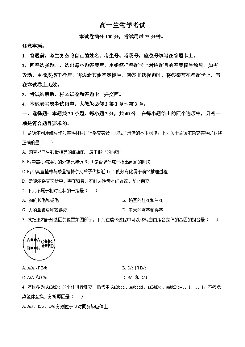 山西省忻州市2023-2024学年高一下学期4月期中联考生物试题（原卷版+解析版）01