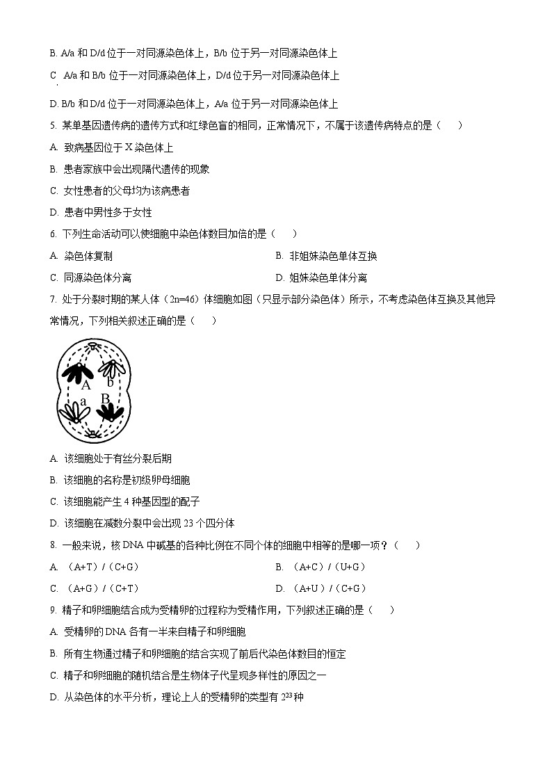 山西省忻州市2023-2024学年高一下学期4月期中联考生物试题（原卷版+解析版）02