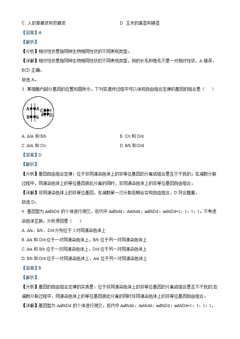山西省忻州市2023-2024学年高一下学期4月期中联考生物试题（原卷版+解析版）02