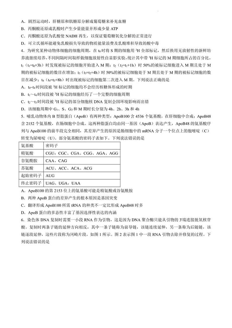 2024年山东滨州高三二模高考生物模拟试卷试题（精校打印）02