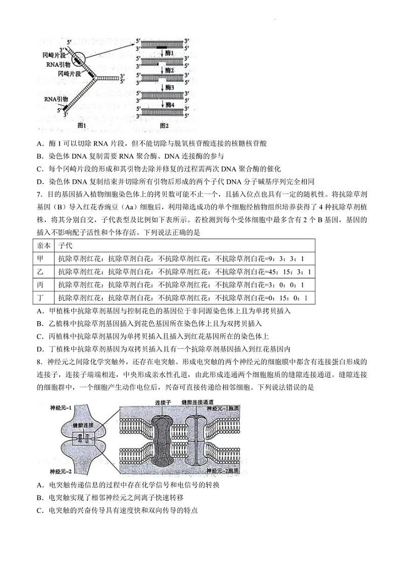 2024年山东滨州高三二模高考生物模拟试卷试题（精校打印）03