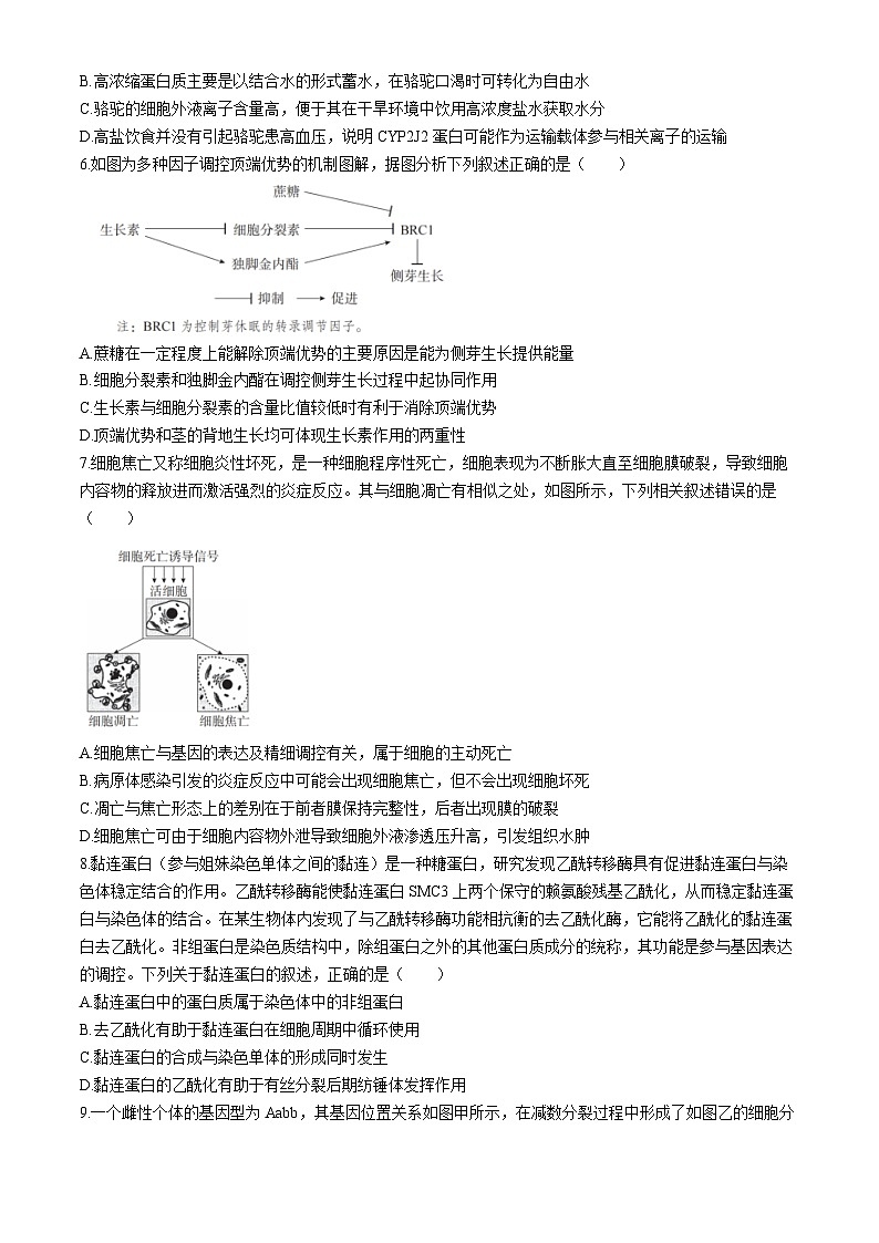 湖南省长沙市第一中学2024届高三下学期模拟卷（三）生物试卷（Word版附解析）第2页