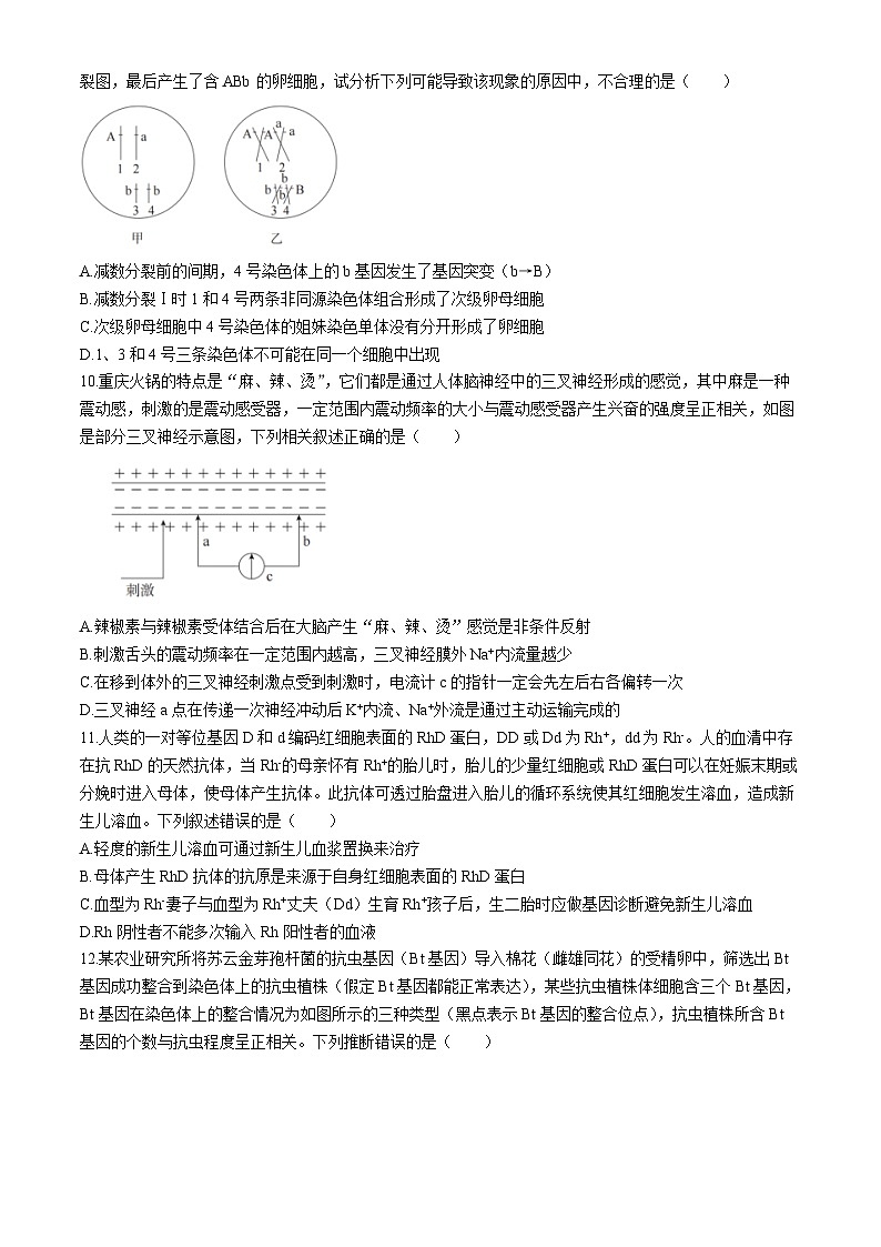 湖南省长沙市第一中学2024届高三下学期模拟卷（三）生物试卷（Word版附解析）第3页