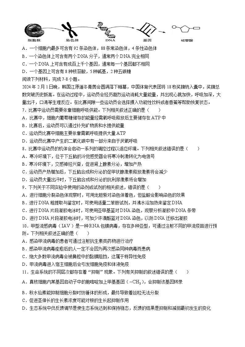 浙江省温州市十校联合体2023-2024学年高二下学期5月期中联考生物试卷（Word版附答案）02