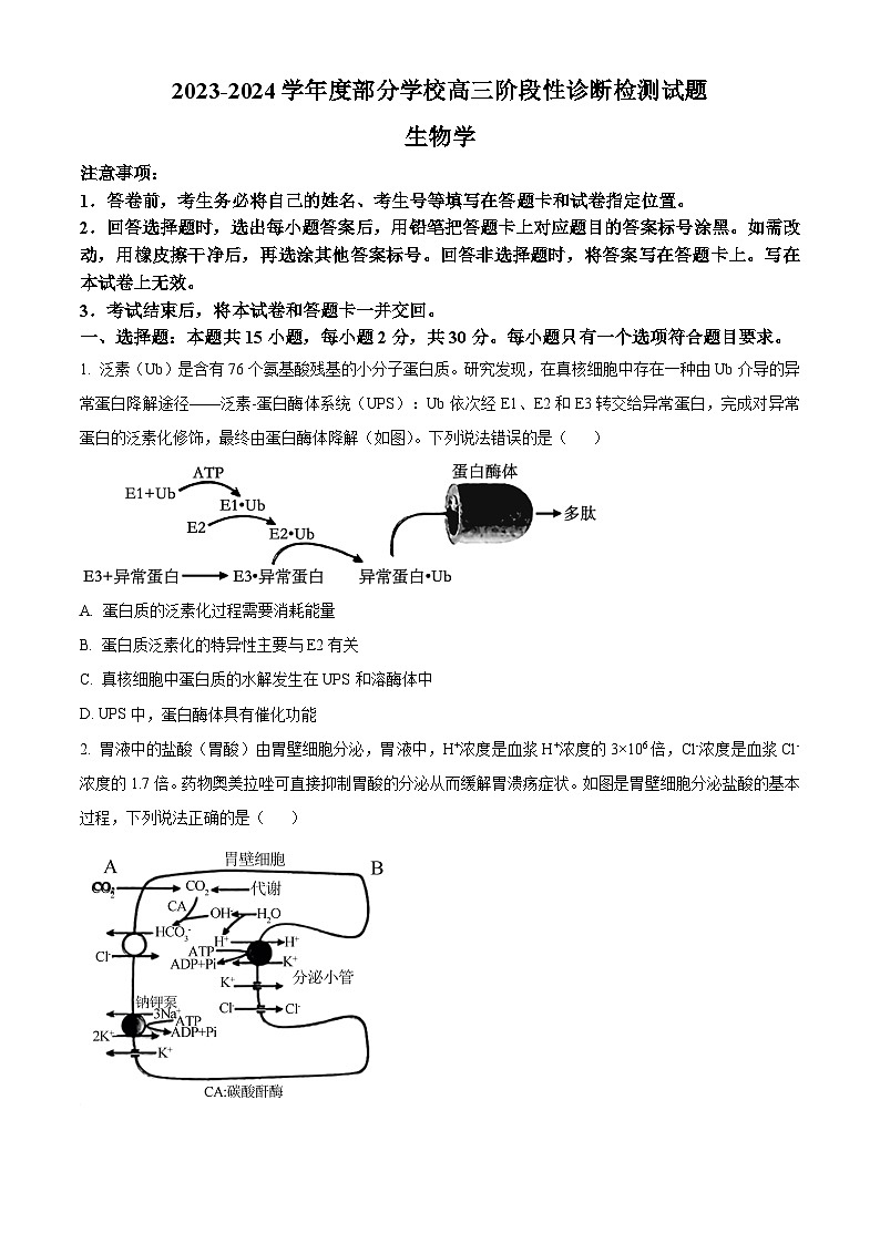2024届山东省淄博市部分学校阶段性测试高三下学期二模生物试题（原卷版+解析版）01