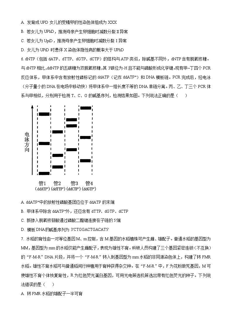 2024届山东省淄博市部分学校阶段性测试高三下学期二模生物试题（原卷版+解析版）03
