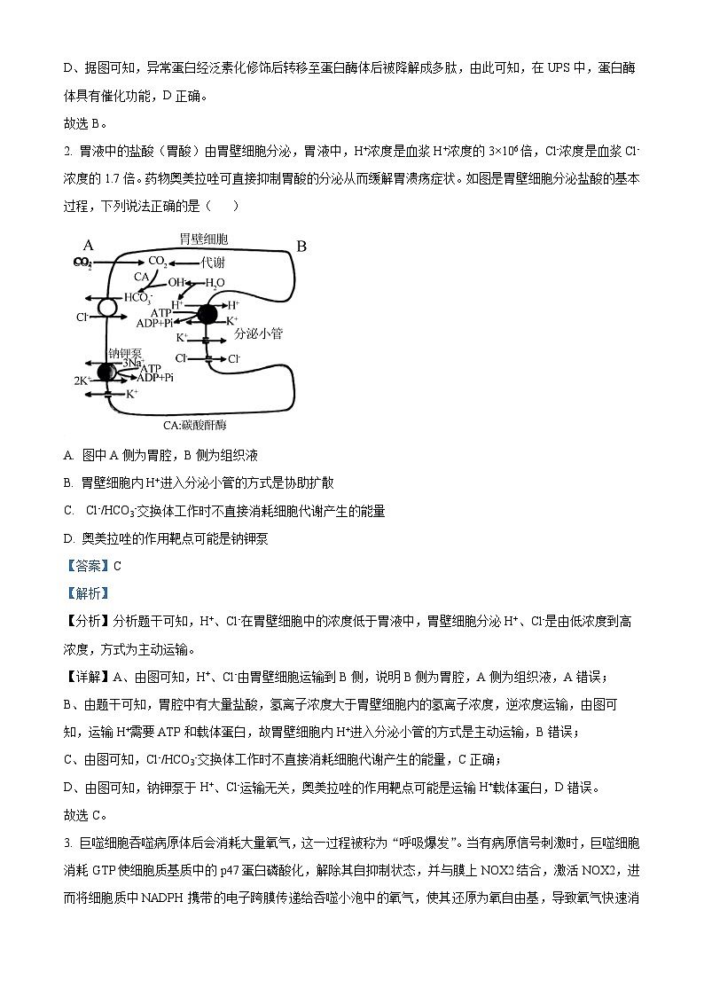 2024届山东省淄博市部分学校阶段性测试高三下学期二模生物试题（原卷版+解析版）02