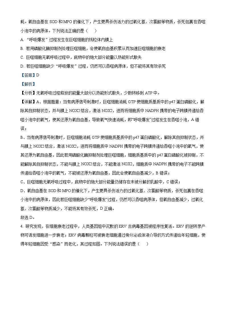 2024届山东省淄博市部分学校阶段性测试高三下学期二模生物试题（原卷版+解析版）03
