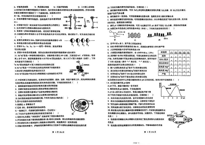 广东省江门市第一中学2023-2024学年高一启超班下学期期中考试生物试题02