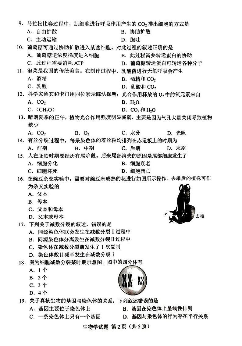 2023年湖南省普通高中学业水平考试真题生物学试卷第3页