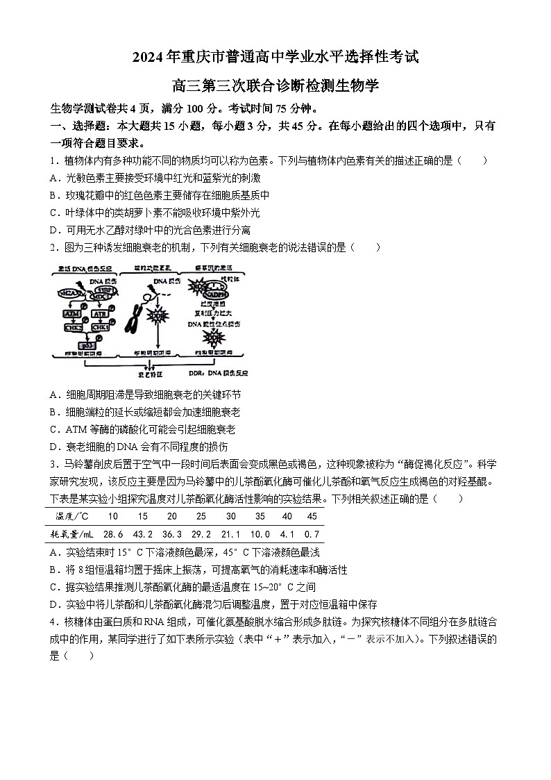 2024届重庆市高三下学期三模生物试题(无答案)01
