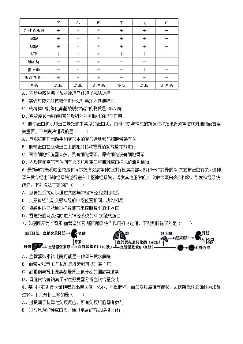 2024届重庆市高三下学期三模生物试题(无答案)02