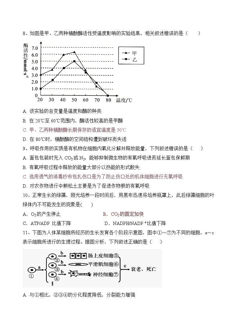 广东省江门市开平市忠源纪念中学2023-2024学年高一下学期期中考试生物（选择性）试卷第3页