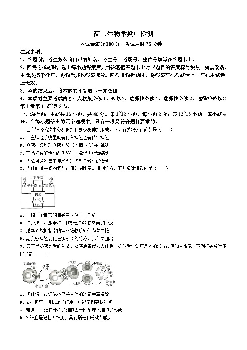 广东省名校联盟2023-2024学年高二下学期期中质量检测生物试题01