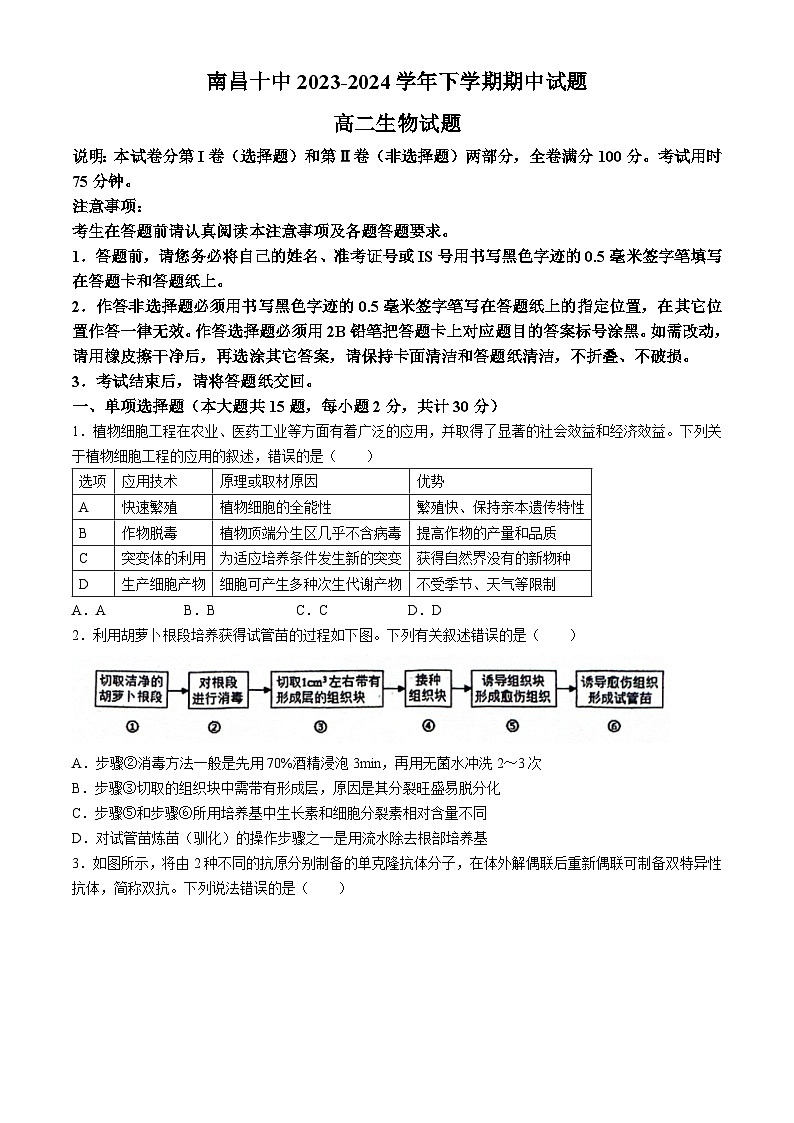 江西省南昌市第十中学2023-2024学年高二下学期期中考试生物试题01