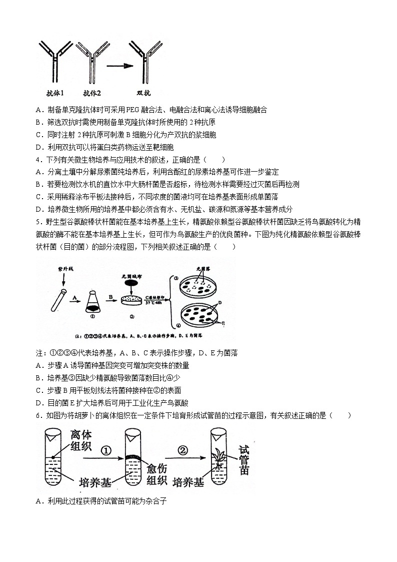 江西省南昌市第十中学2023-2024学年高二下学期期中考试生物试题02