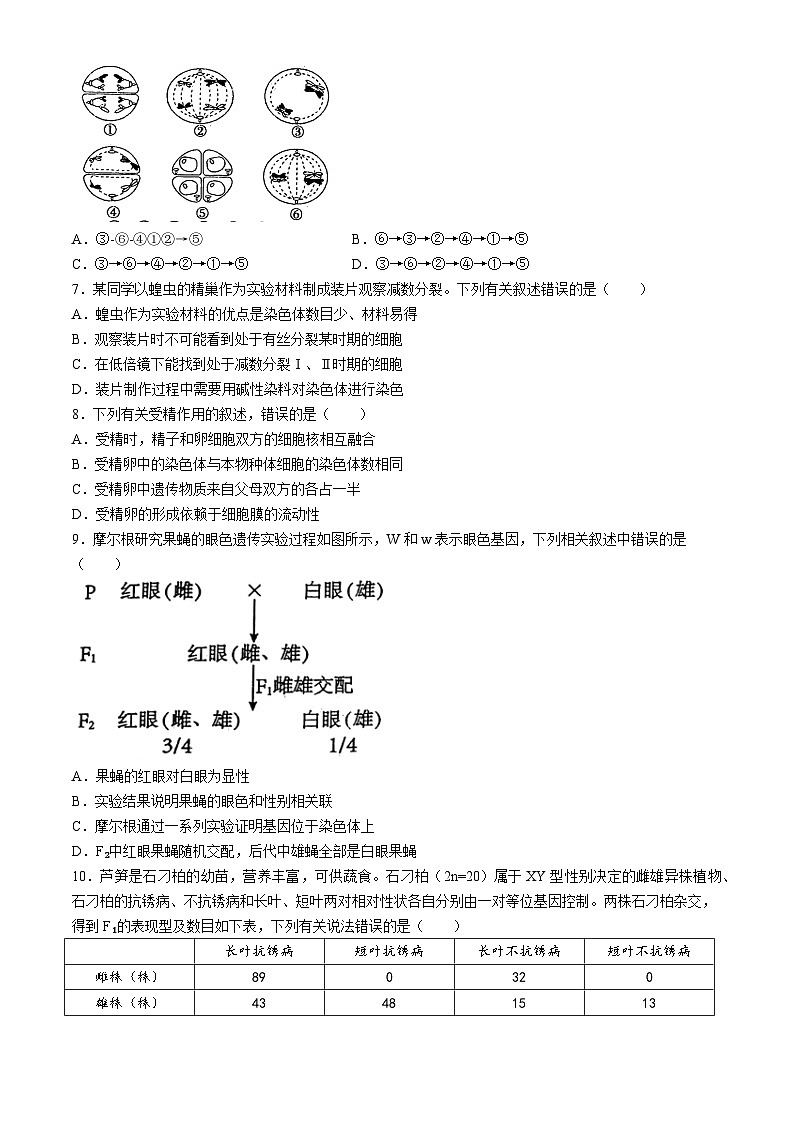 辽宁省鞍山市2023-2024学年高一下学期期中考试生物试题02
