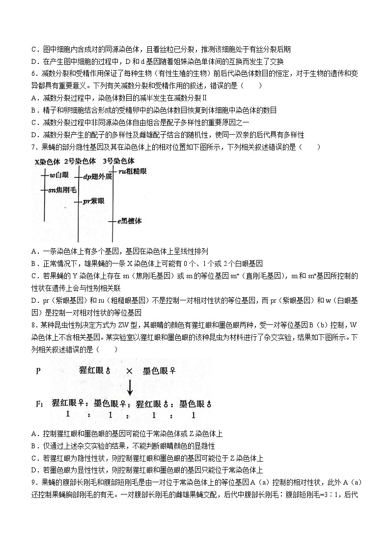 辽宁省部分学校2023-2024学年高一下学期5月期中考试生物试题(无答案)第2页