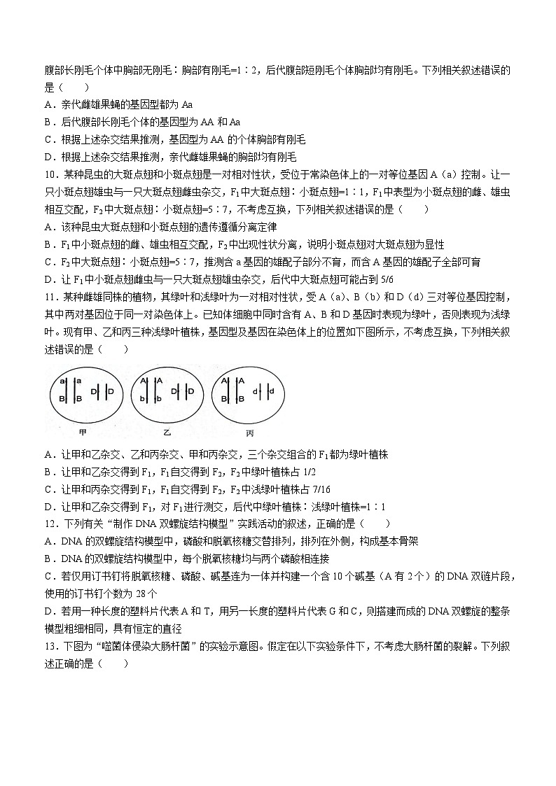 辽宁省部分学校2023-2024学年高一下学期5月期中考试生物试题(无答案)第3页