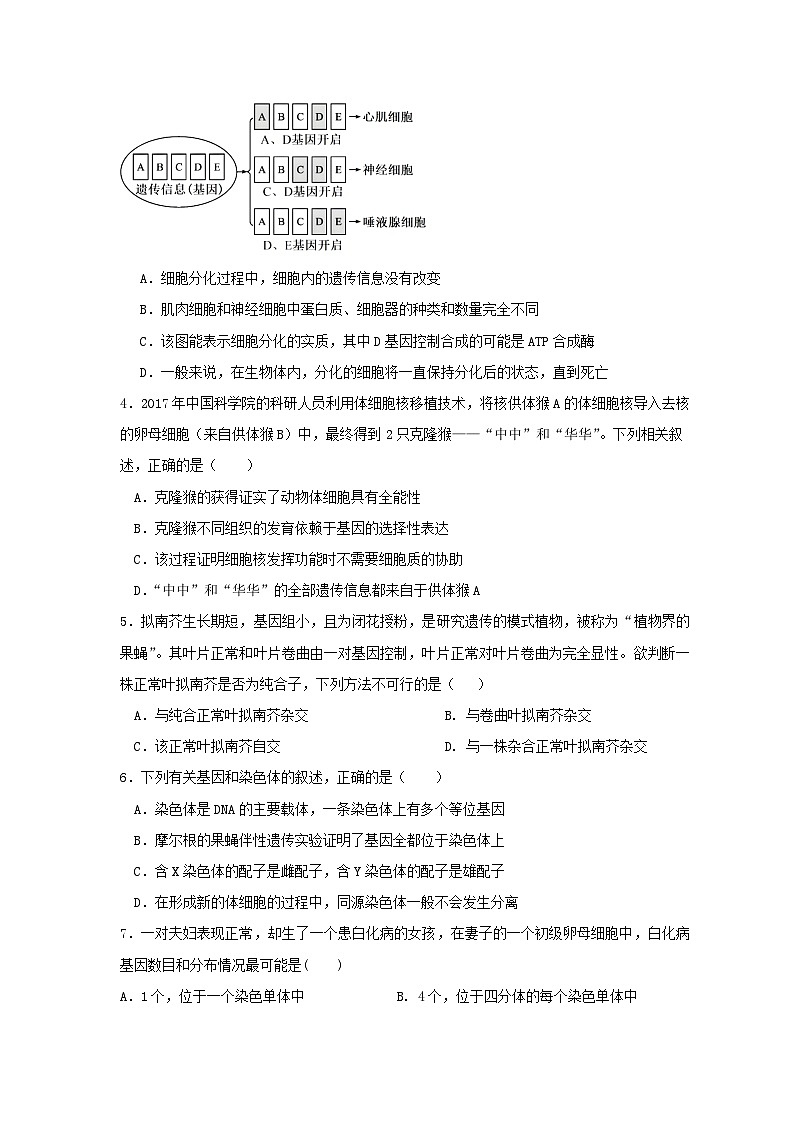 四川省自贡市蜀光中学2023-2024学年高一下学期期中考试生物试题第2页