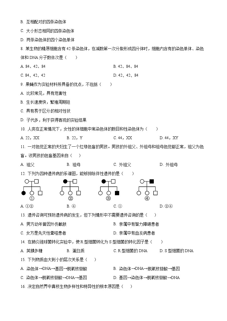2024北京海淀区北京理工大学附中高一下学期4月期中考试生物含解析02