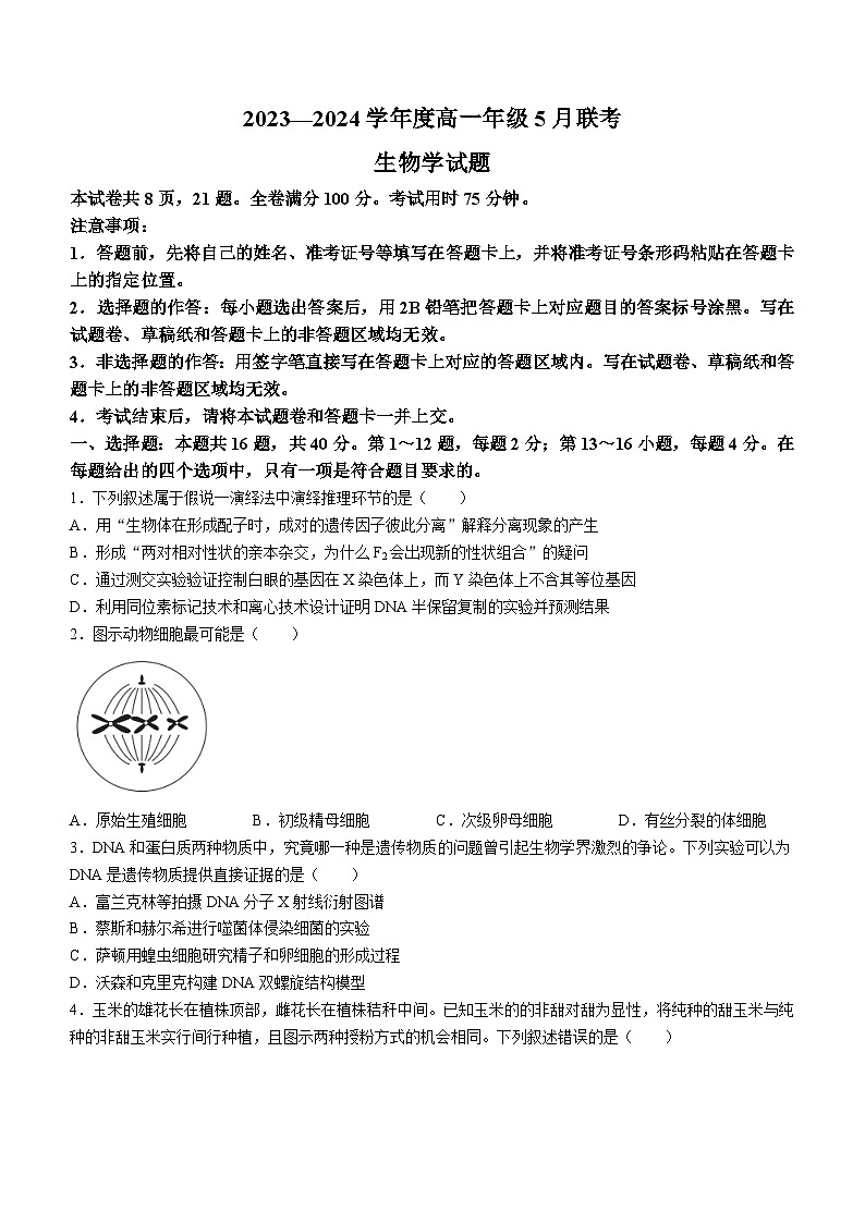 2024河源部分学校高一下学期5月期中联考试题生物含解析01