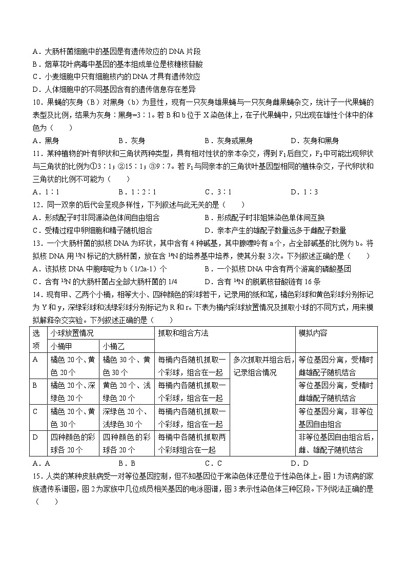 2024河源部分学校高一下学期5月期中联考试题生物含解析03