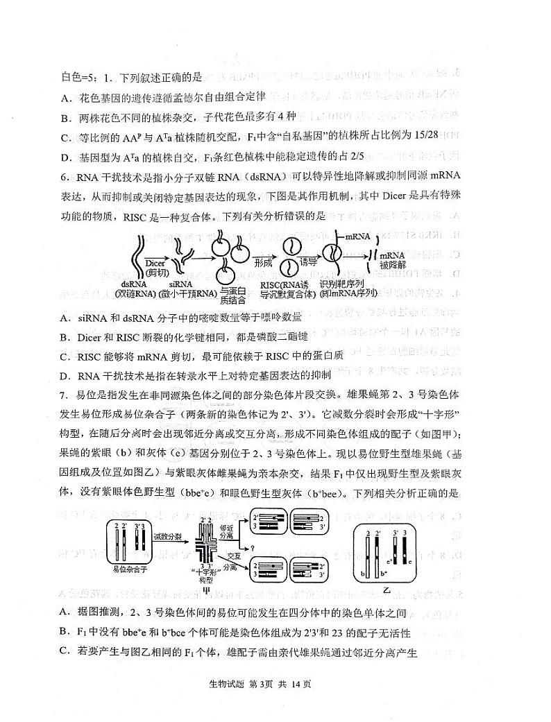 2024届山东省实验中学高三下学期5月针对性考试生物试题第3页